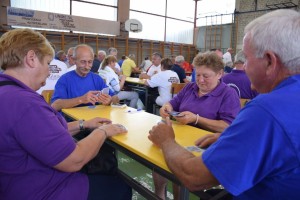 Županijski susret umirovljenika 16.06.2018 (151)